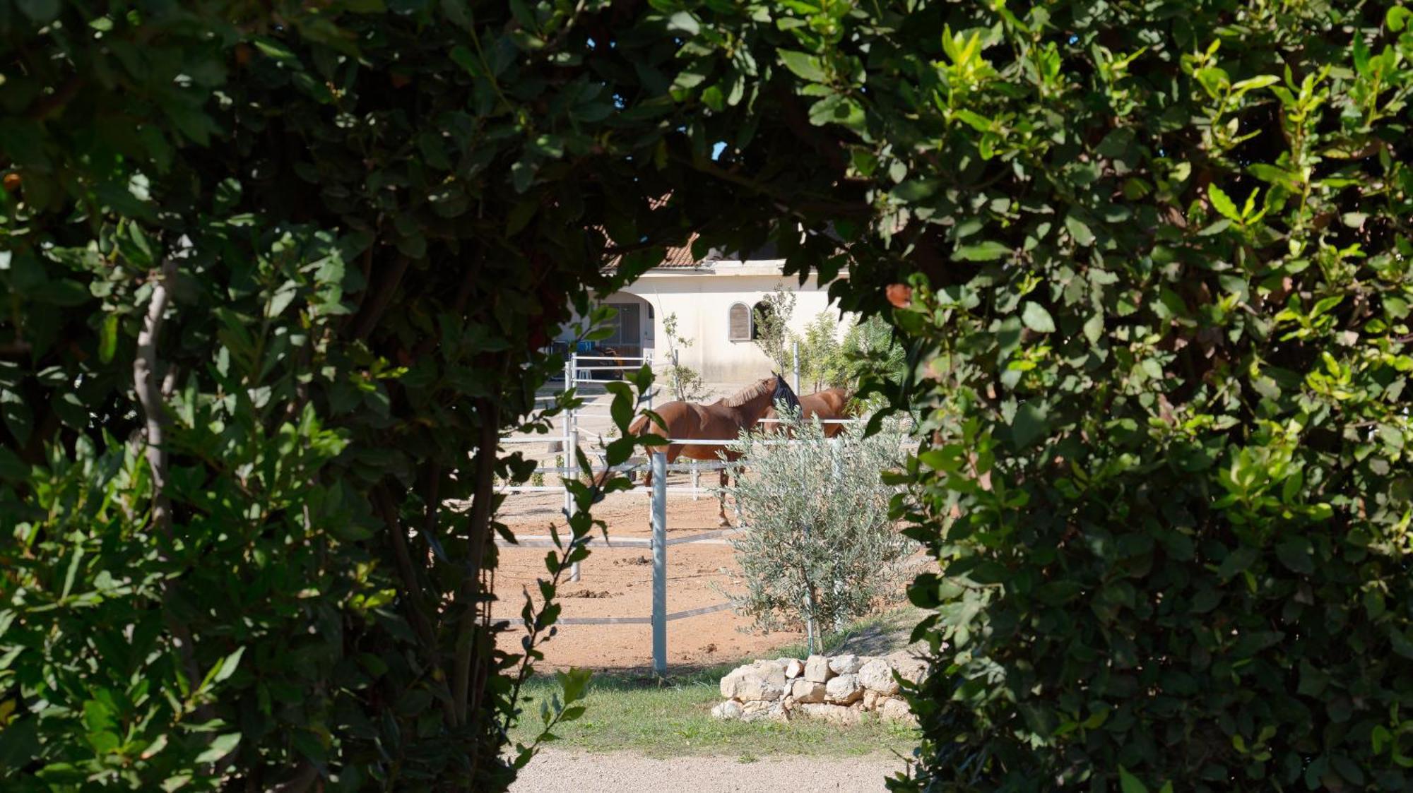 Delle Rose, Hotel & Horse Riding Torre Vado Exterior foto