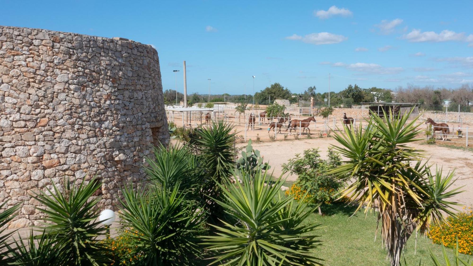 Delle Rose, Hotel & Horse Riding Torre Vado Exterior foto
